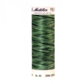 Нить для вышивания 4820-9805 METTLER POLY SHEEN MULTI 